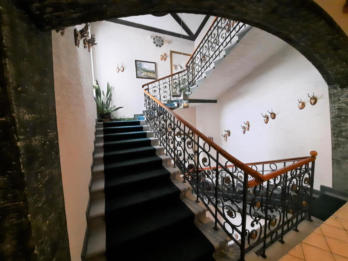 Hotel Koruna Jeseník Εξωτερικό φωτογραφία