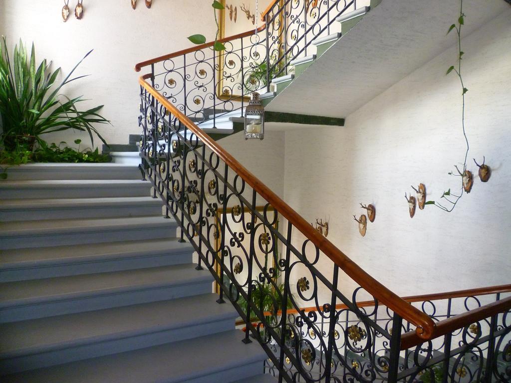 Hotel Koruna Jeseník Εξωτερικό φωτογραφία